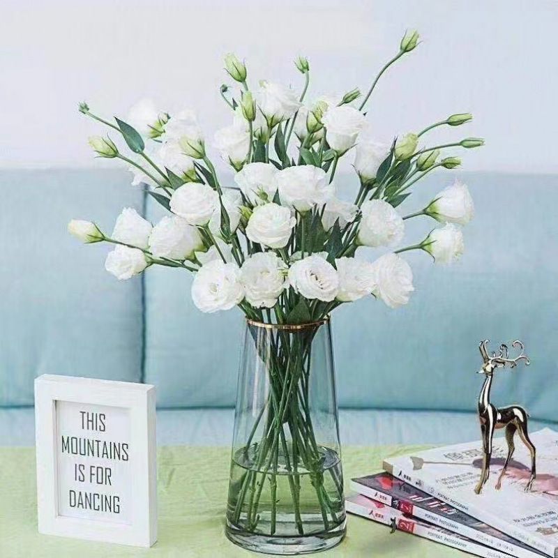 稀有色洋桔梗鲜花新鲜混搭室内水培家用花插花办公室云南基地直发 - 白色 洋桔梗20朵+配草3支/收藏商品送保鲜剂 精选好花