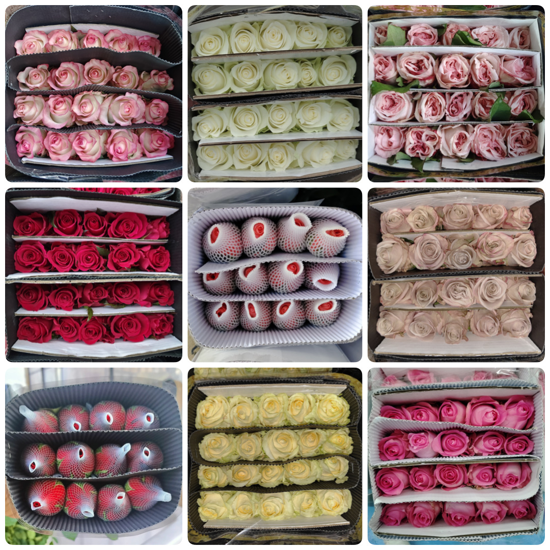 Розы оптом розы оптом цветы оптом юньнаньская цветочная база прямая партия свежих срезанных цветов свадебный цветочный магазин - Случайно монохромный (20 шт.)