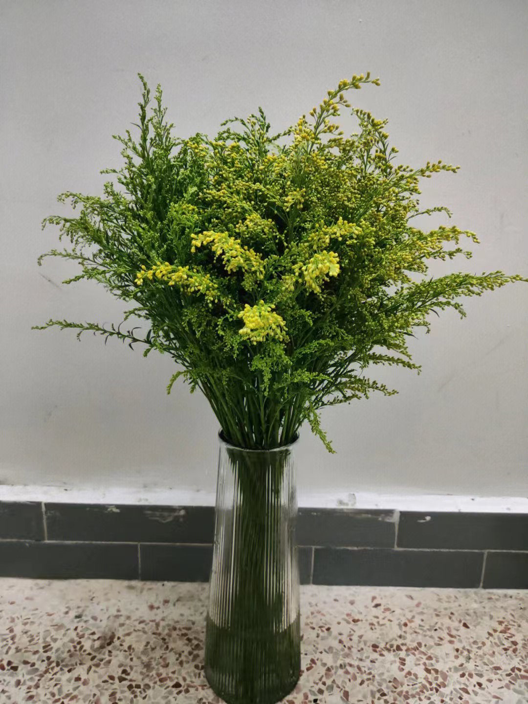 Юньнань сказал, что фунт цветов, желтая соловьиная трава, букет роз с травяной базой, прямые свежие и свежие цветы оптом - Свежие желтые травы/Десять.