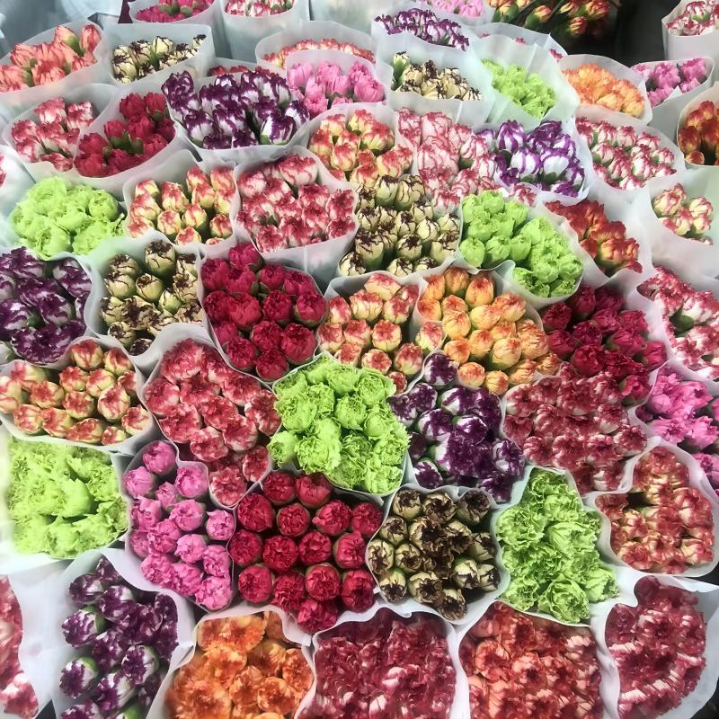 Гвоздики свежие нарезанные цветы оптом Юньнаньская база прямые цветочные магазины домашние цветы День матери учитель букет цветов - Одноголовый комбинированный 20 шт.