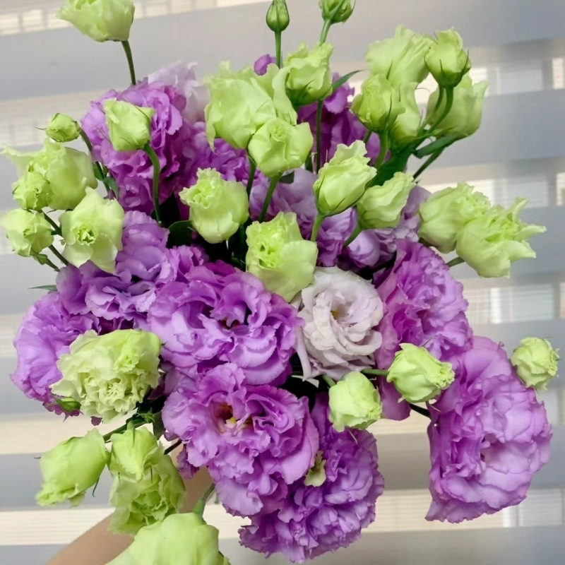 Панхромные редкие оранжевые стебли без шипов букет цветов Юньнань прямые волосы букет роз - Светло - фиолетовый с большими бутонами (15 - 20 шт.)/Коллекционные товары Доставка консервантов Доставка травы (пропорциональная компенсация за растрату)