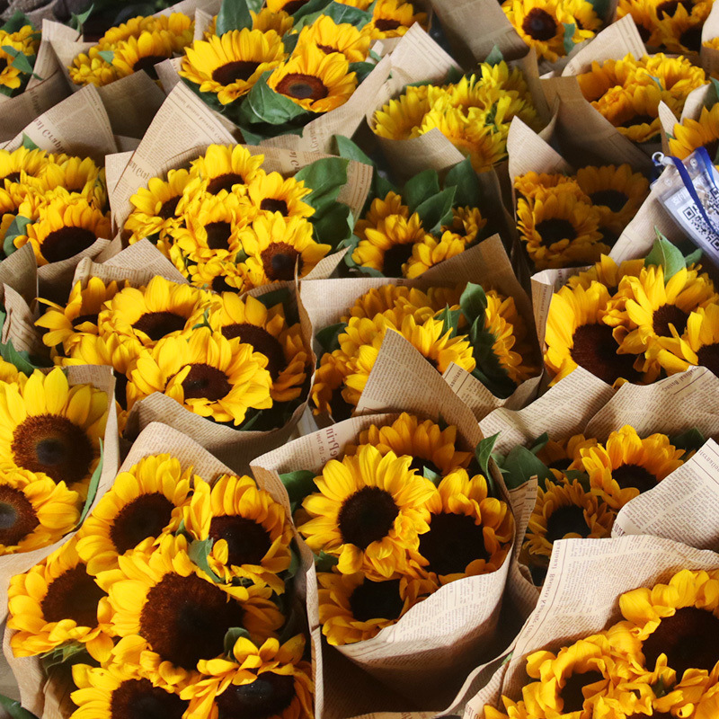 Подсолнухи цветы Юньнаньская база прямые длинные розы ромашки гвоздики - Подсолнухи 6 + Английская газета 3 + ленты